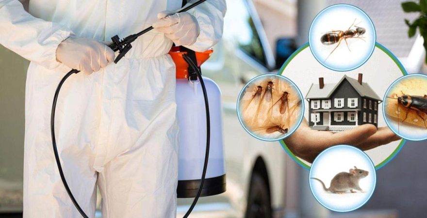 Çiftlik Böcek İlaçlama