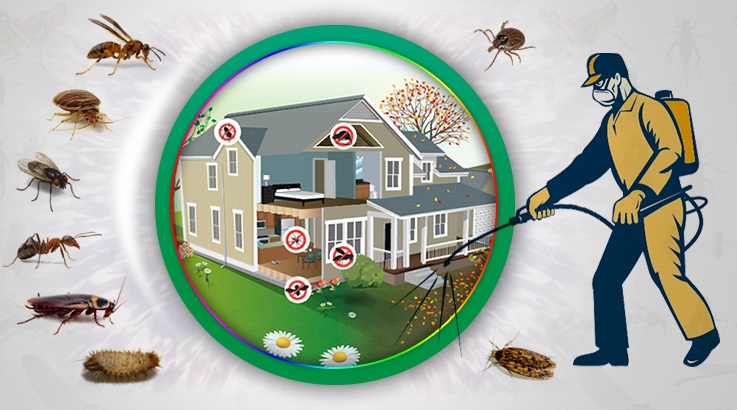 Çiftlik Böcek İlaçlama