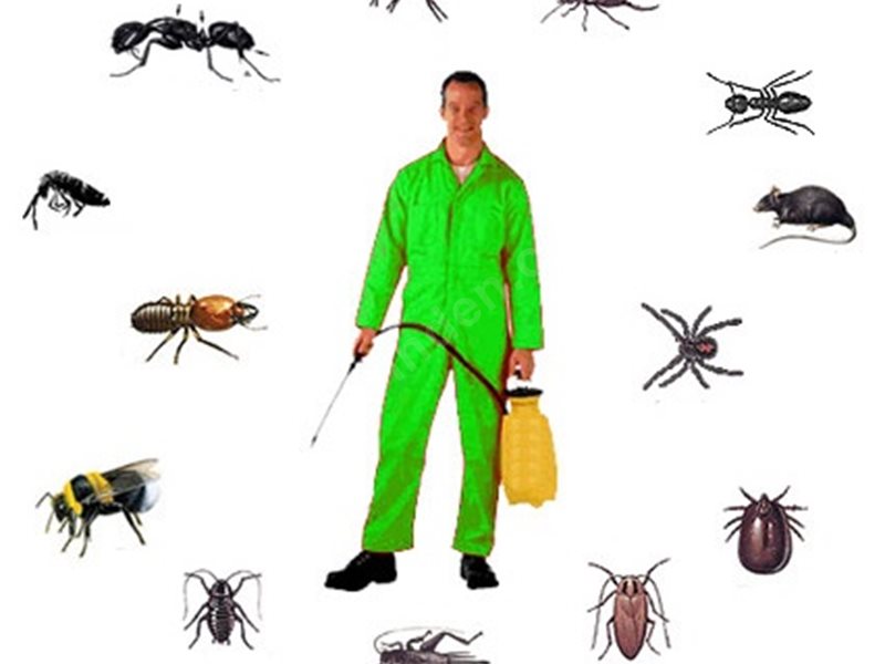 Çiftlik Böcek İlaçlama